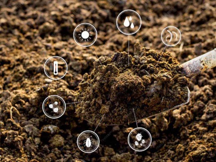 嵩县中药鸡粪肥