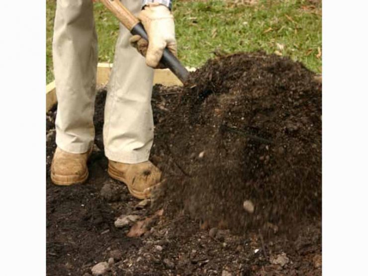 tanghexianhongshujifenfei