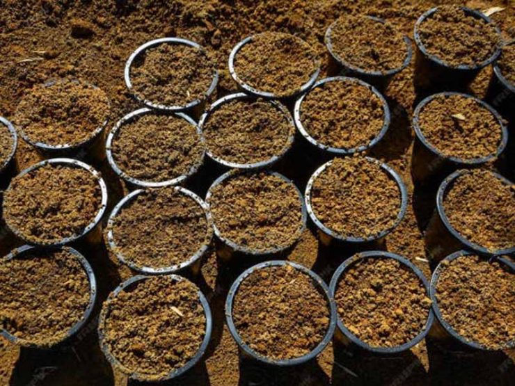 中牟县西瓜鸡粪肥