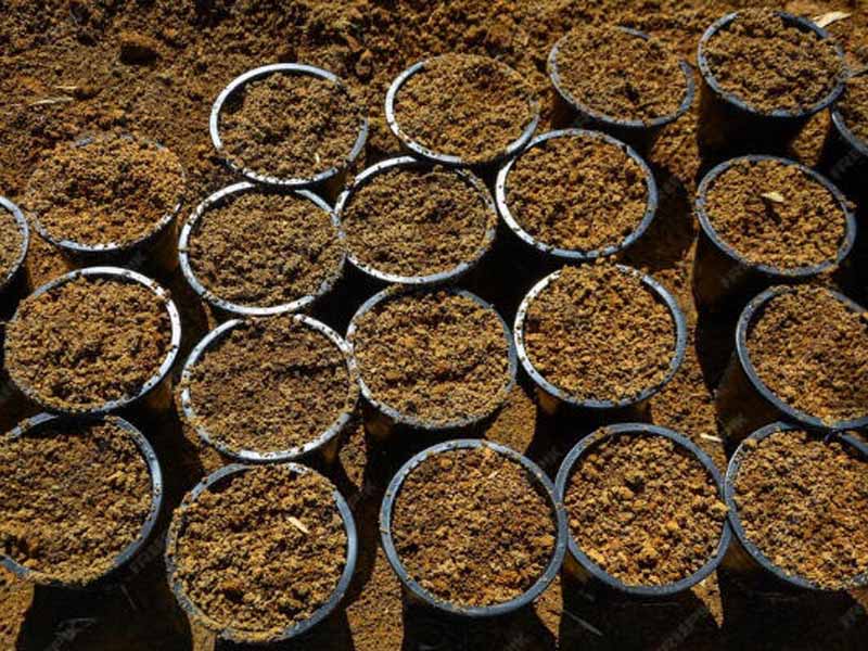 中牟县西瓜鸡粪肥