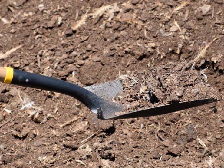 南召县辛夷鸡粪肥