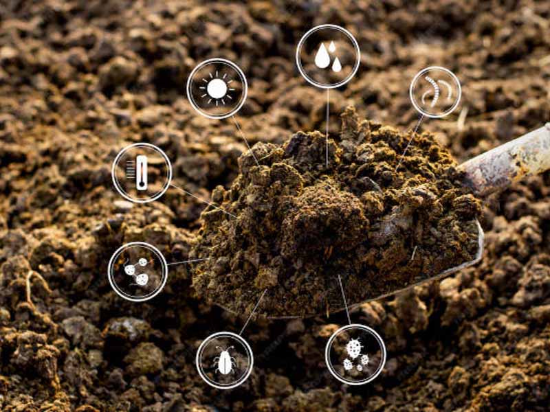 博爱县怀姜鸡粪肥