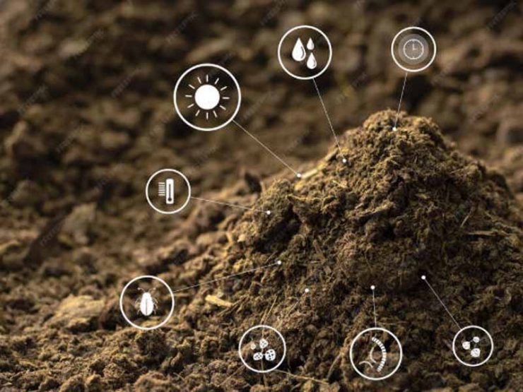 博爱县蔬菜鸡粪肥