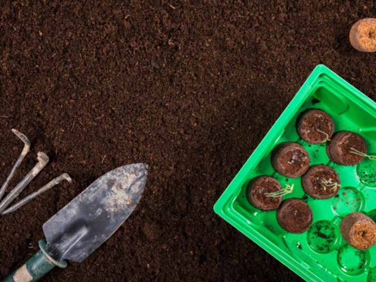 夏邑县蔬菜鸡粪肥