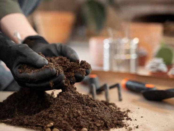 宁陵县梨树鸡粪肥