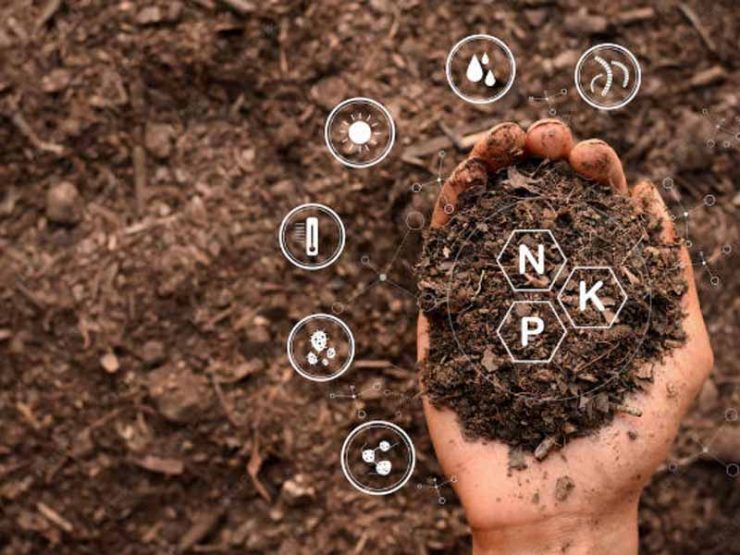 嵩县山茱萸鸡粪肥