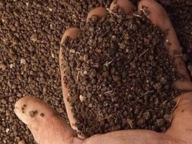 干鸡粪可以做底肥吗