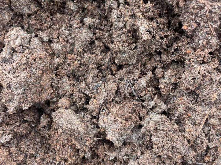 干鸡粪可以撒土上地吗