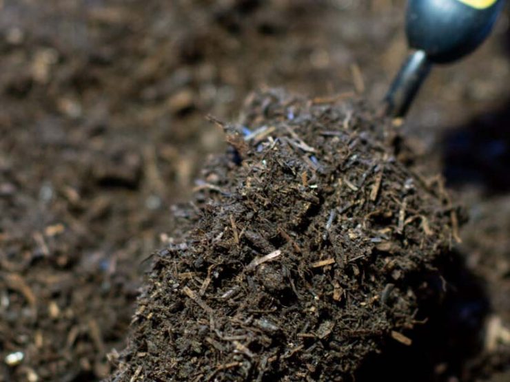 干鸡粪怎么发酵