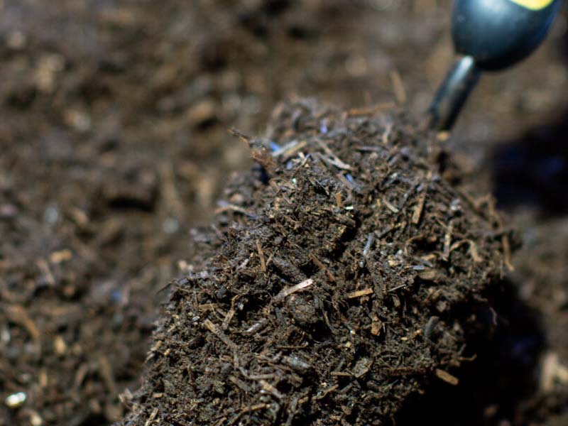 干鸡粪怎么发酵