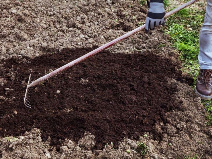 干鸡粪怎么发酵最快呢