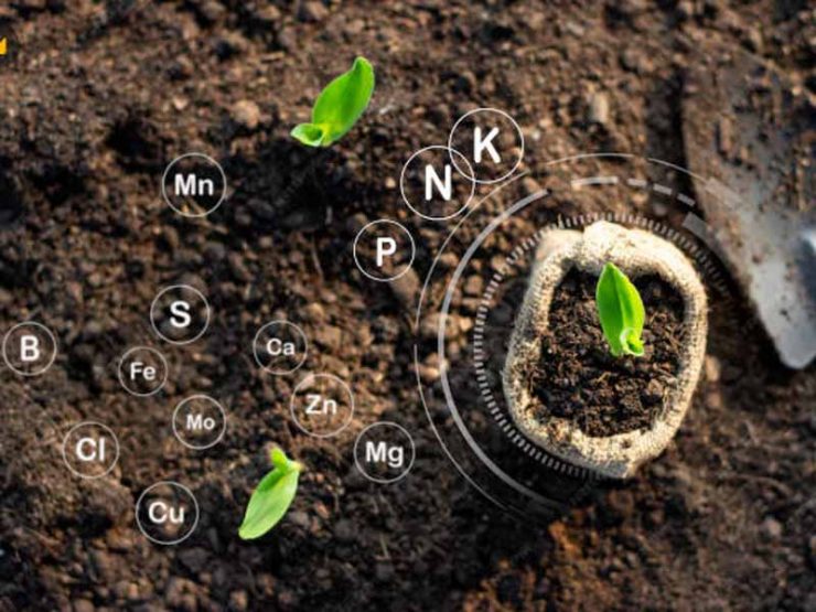 平舆县芝麻鸡粪肥