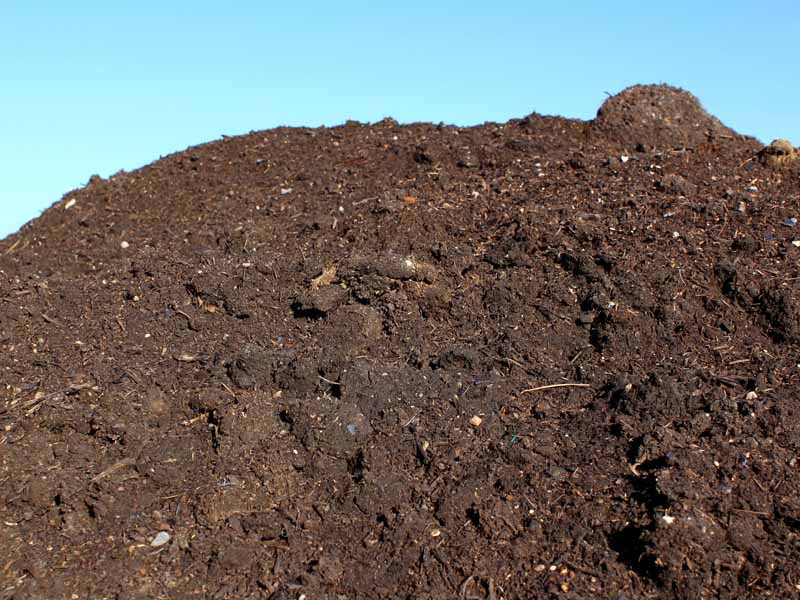 新野县甘蓝菜鸡粪肥