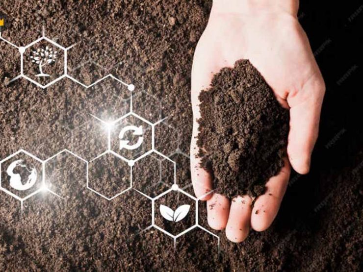 杞县大蒜鸡粪肥