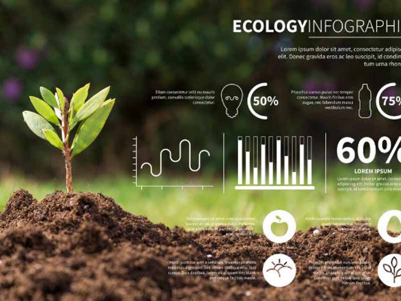 栾川县中药鸡粪肥