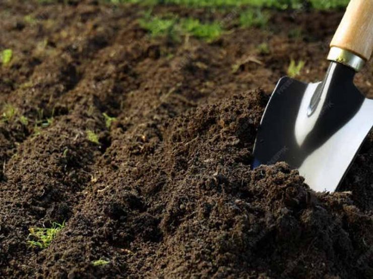 栾川县山茱萸鸡粪肥