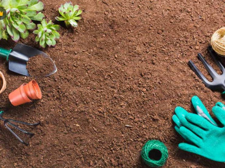 泌阳县果树鸡粪肥