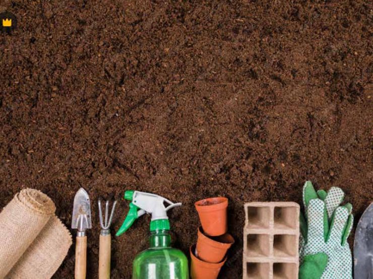 洛宁县苹果鸡粪肥