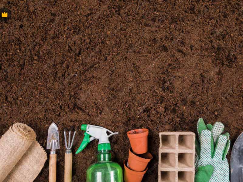 洛宁县苹果鸡粪肥