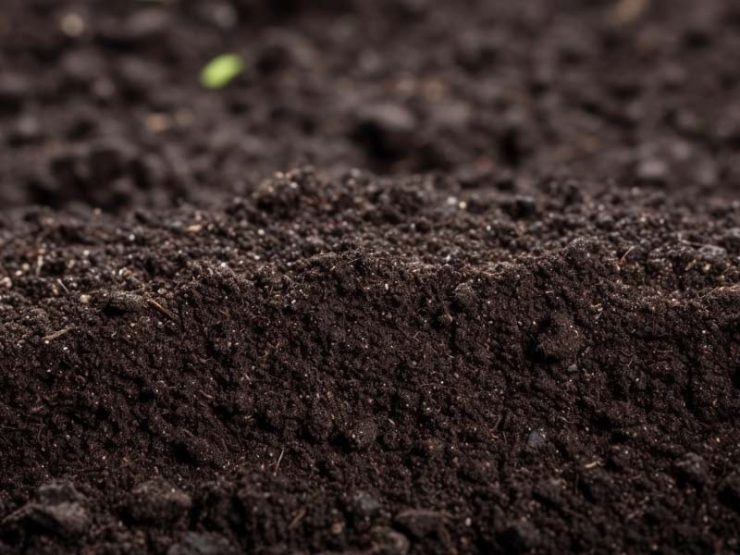 潢川县鸡粪肥咨询：18639055790,18838213247