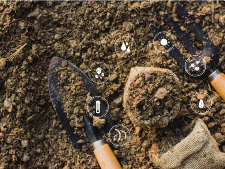 种植蔬菜怎么改善土壤