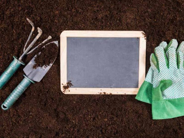 虞城县梨树鸡粪肥