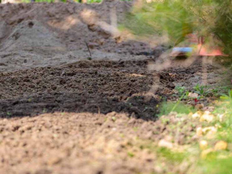 西峡县山茱萸鸡粪肥