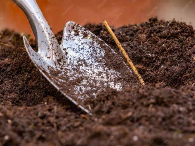 郸城县红薯鸡粪肥