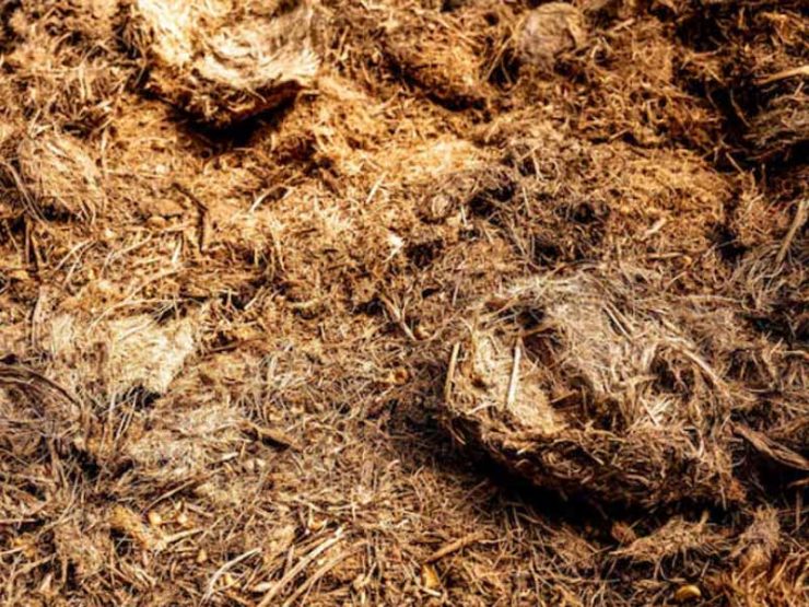 项城市芝麻鸡粪肥