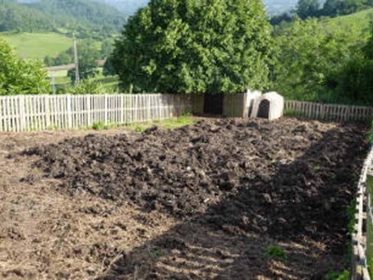 鸡粪发酵最快的方法