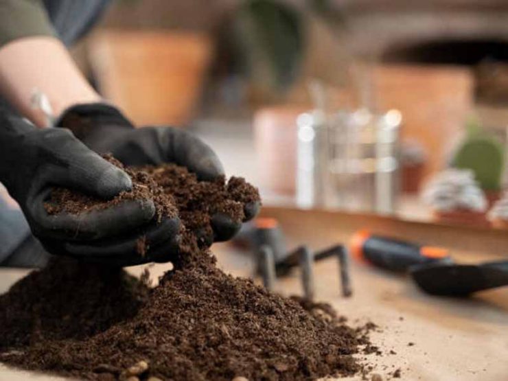 鸡粪发酵有机肥