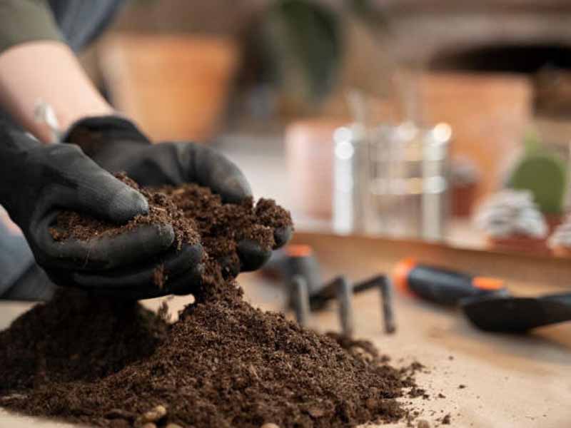 鸡粪发酵有机肥