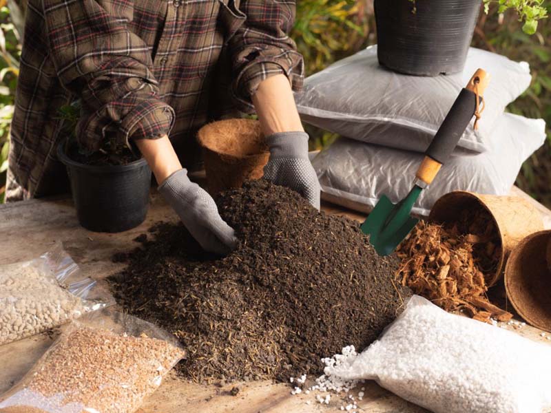 鸡粪发酵有机肥怎么使用