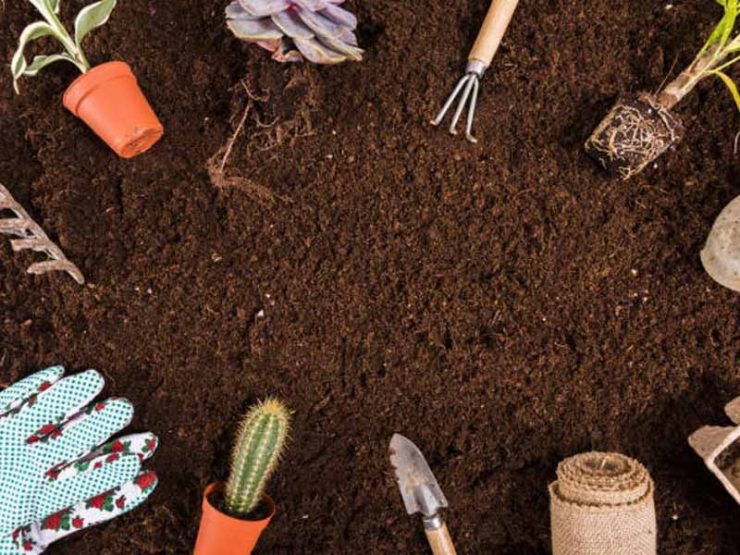 鸡粪怎么发酵最简单方法