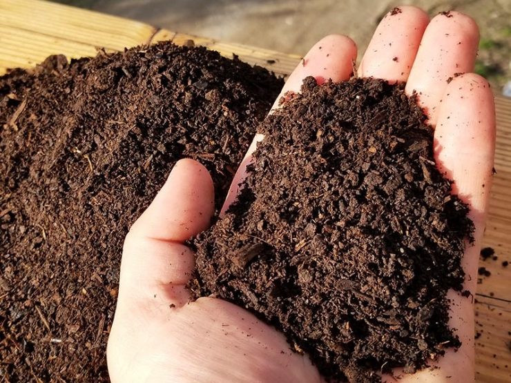 鸡粪有什么作用