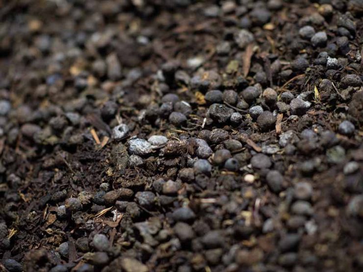 鸡粪肥和草木灰