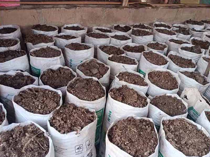 鸡粪肥适合种什么蔬菜